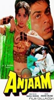 Anjaam (1994) Hindi Movie