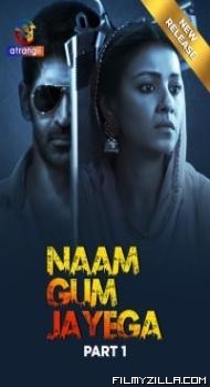 Naam Gum Jayega (2024) Season 1 Hindi Web Series