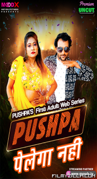 Pushpa Pelega Nahi (2025) S01