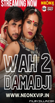 Wah Damad Ji 2 (2024)